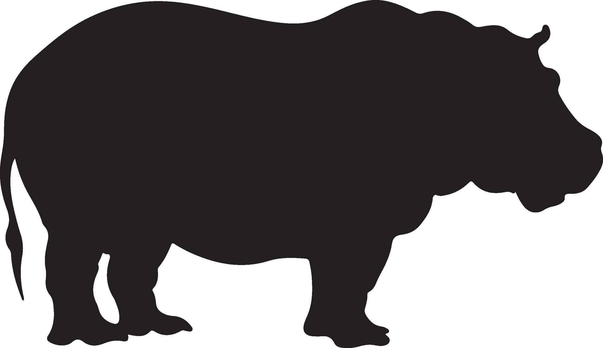 epon anon hippo